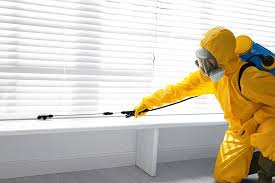 Professional Pest Control in High Point, FL